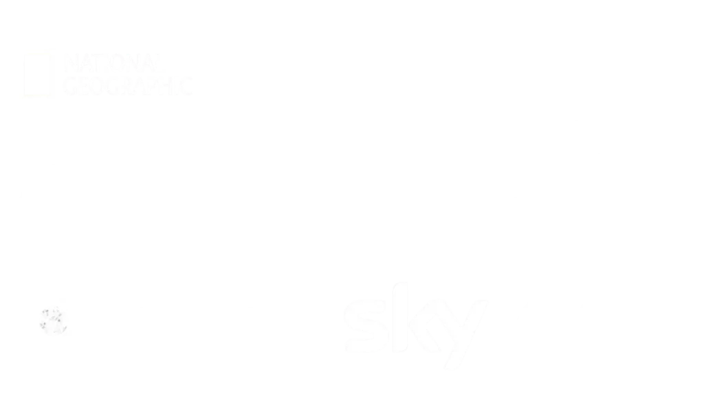 dream 4k iptv (2)